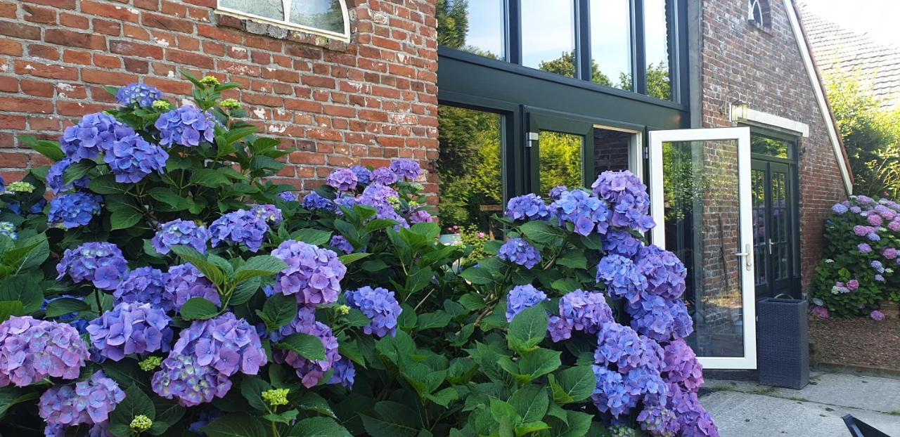 Boeren Maison Wedde 外观 照片